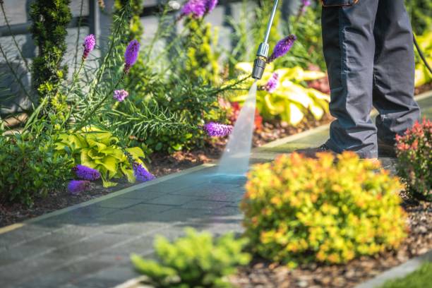 Trusted Hartford City, IN Pressure Washing Services Experts